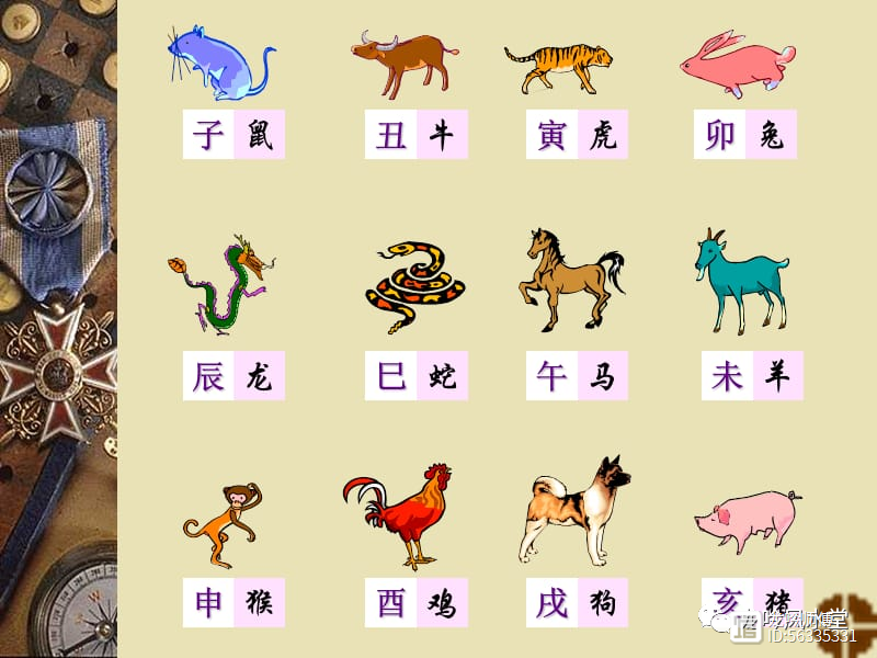 十八四六送特码，猪虎蛇羊有搞头打猜一最佳准确生肖全面释义、统计解答解释落实