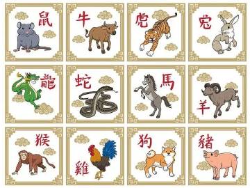 十八四六送特码，猪虎蛇羊有搞头打猜一最佳准确生肖全面释义、统计解答解释落实