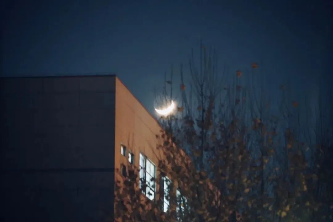 披星戴月，南陌柔條，药方求来多有效打一正准生肖，全面释义、实时解答解释落实