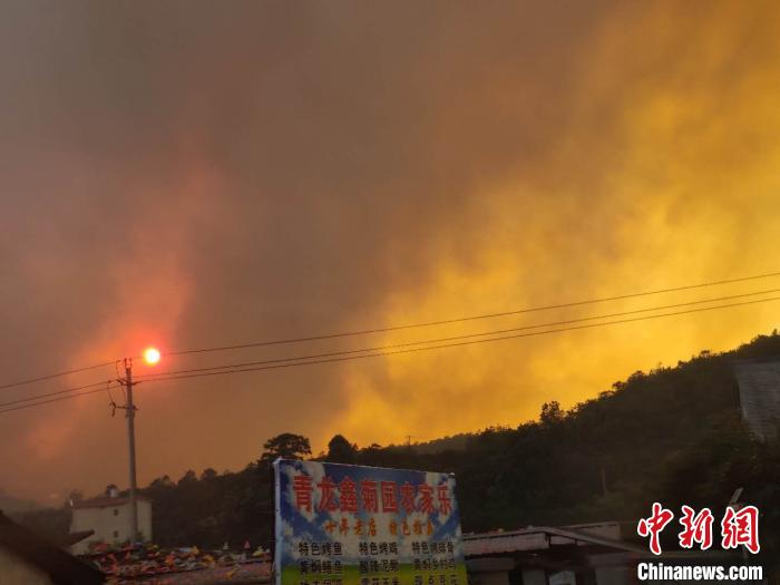 大火盈空气象新,家园热烈意难驯指猜打一最佳精准生肖的警惕虚假宣传-构建解答解释落实