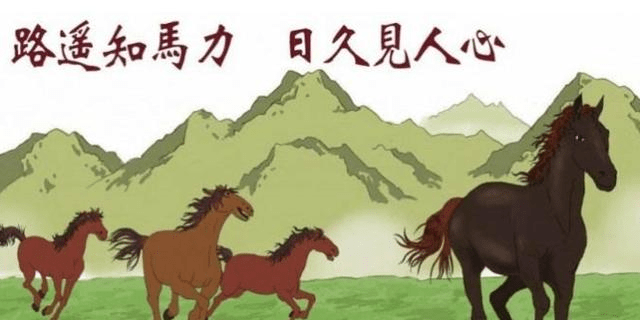 駿駒迄立，腰骨挺直，路遙自然知馬力打一最佳精准生肖、警惕虚假宣传-全面释义、定量解答解释落实