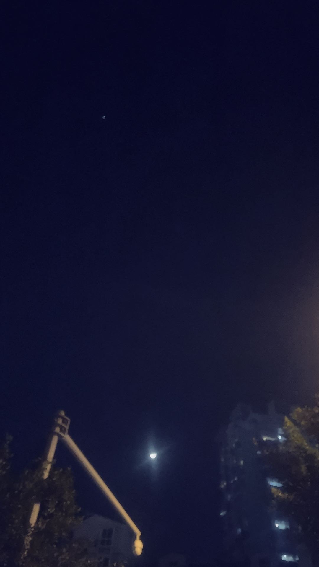 披星戴月，南陌柔條，药方求来多有效打一正准生肖，全面释义、实时解答解释落实