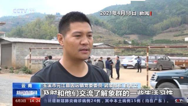 用不到不为财望梅止渴正蠢才代表什么生肖全面释义、详细解答解释落实